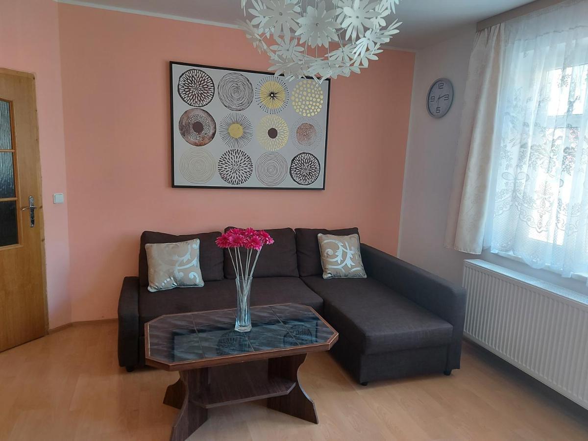 Apartmán Jáchymov Krušné hory Exterior foto